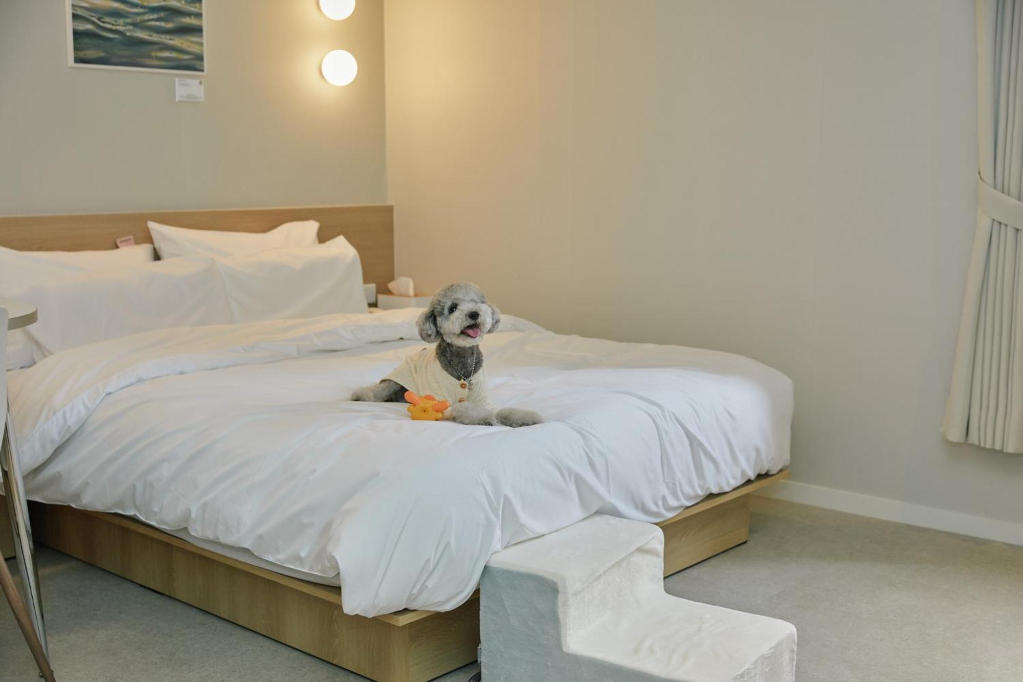 Aank Hotel Incheon Songdo Esterno foto